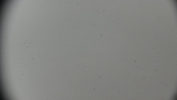 Horská služba - Ovčárna - Praděd