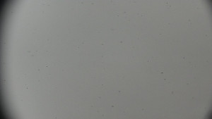 Horský hotel Volareza - Praděd - Horská služba - Ovčárna - Praděd - 14.2.2026 v 14:30