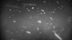 Horská služba - Ovčárna - Praděd