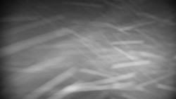 Horská služba - Ovčárna - Praděd