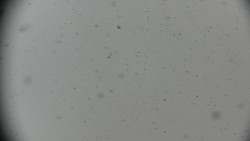 Horská služba - Ovčárna - Praděd