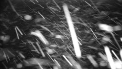 Horská služba - Ovčárna - Praděd