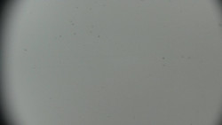 Horská služba - Ovčárna - Praděd