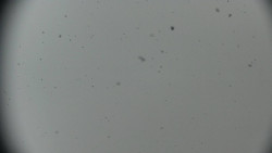 Horská služba - Ovčárna - Praděd