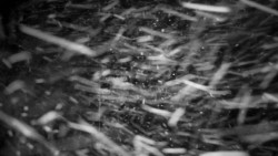 Horská služba - Ovčárna - Praděd