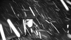 Horská služba - Ovčárna - Praděd