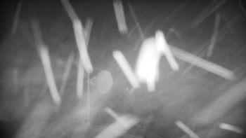 Horský hotel Volareza - Praděd