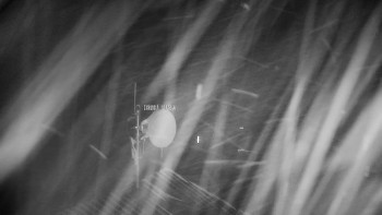 Horský hotel Volareza - Praděd