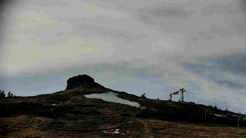 Snímek 14.11.2025 v 11:31