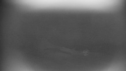 Praděd - Petrovy kameny