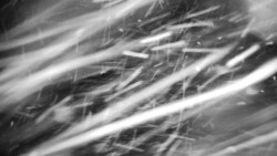 Praděd - Petrovy kameny