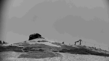 Snímek    21.11.2025 v 08:31