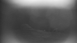 Praděd - Petrovy kameny