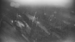 Praděd - Petrovy kameny