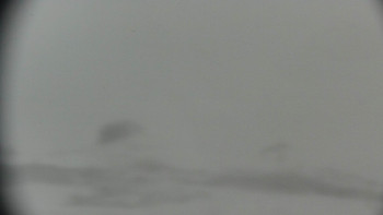 Snímek    24.11.2025 v 11:31