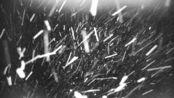 Praděd - Petrovy kameny