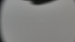 Praděd - Petrovy kameny