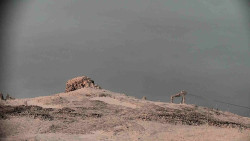 Praděd - Petrovy kameny