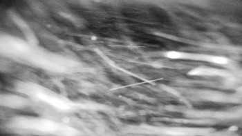 Horský hotel Volareza - Praděd