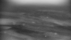 Praděd - Petrovy kameny