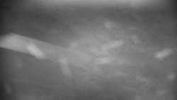 Praděd - Petrovy kameny