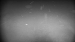 Praděd - Petrovy kameny