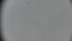 Praděd - Petrovy kameny