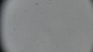 Horský hotel Volareza - Praděd - Praděd - Petrovy kameny - 2.1.2026 v 10:31