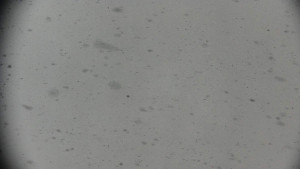 Horský hotel Volareza - Praděd - Praděd - Petrovy kameny - 2.1.2026 v 11:31