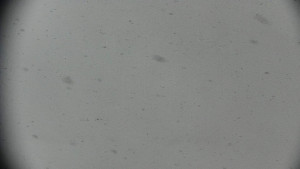 Horský hotel Volareza - Praděd - Praděd - Petrovy kameny - 2.1.2026 v 13:31