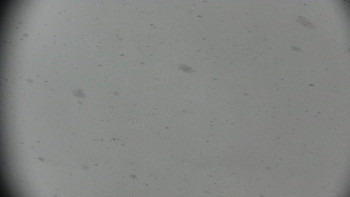 Horský hotel Volareza - Praděd