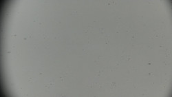 Praděd - Petrovy kameny