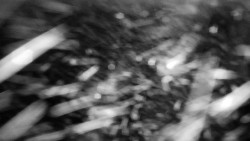 Praděd - Petrovy kameny