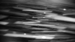 Praděd - Petrovy kameny