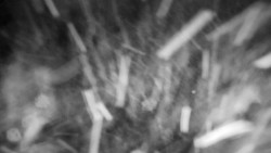 Praděd - Petrovy kameny