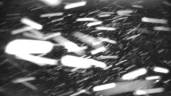 Praděd - Petrovy kameny