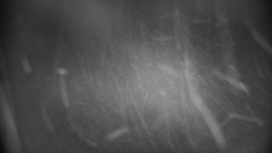 Horský hotel Volareza - Praděd - Praděd - Petrovy kameny - 29.1.2026 v 05:31 Horský hotel Volareza - Praděd - Praděd - Petrovy kameny - 29.1.2026 v 05:31