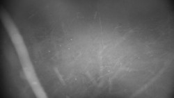 Praděd - Petrovy kameny