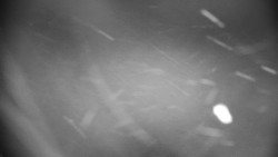 Praděd - Petrovy kameny