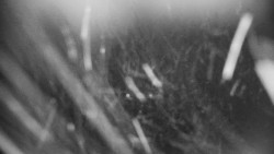 Praděd - Petrovy kameny