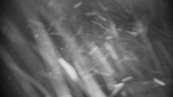 Horský hotel Volareza - Praděd