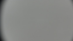 Praděd - Petrovy kameny