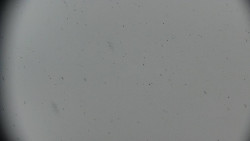 Praděd - Petrovy kameny