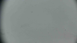 Praděd - Petrovy kameny