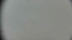 Praděd - Petrovy kameny