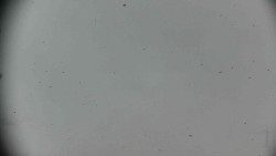 Praděd - Petrovy kameny