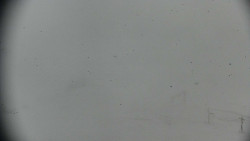 Praděd - Petrovy kameny