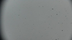 Praděd - Petrovy kameny