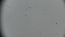 Praděd - Petrovy kameny