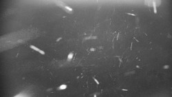 Praděd - Petrovy kameny